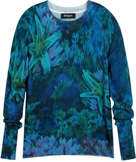 Sweatshirt Desigual