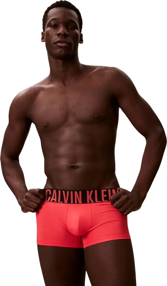 Boxers Calvin Klein Underwear
