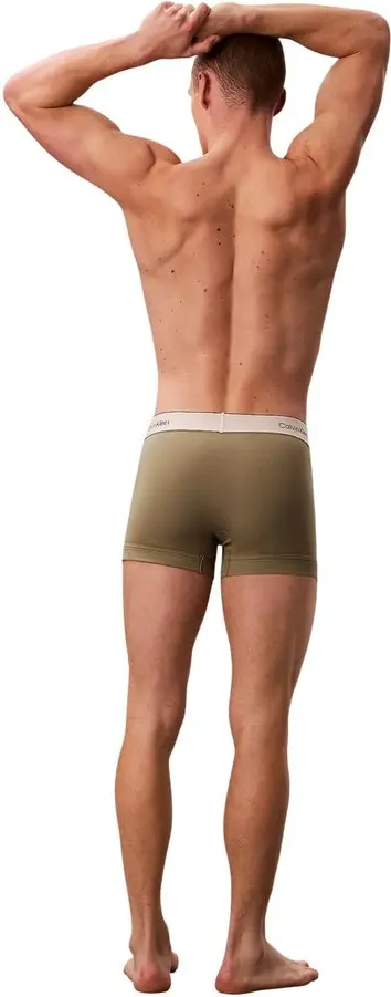 Боксеры Calvin Klein Underwear